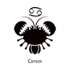 Rak 3